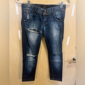 Hudson Skinny Jeans in Distressed Style